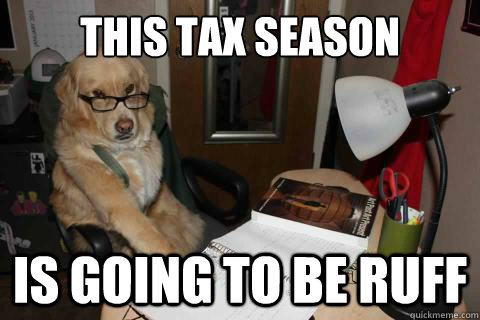 the best taxes & accounting stress memes