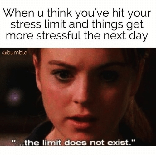 the best taxes & accounting stress memes