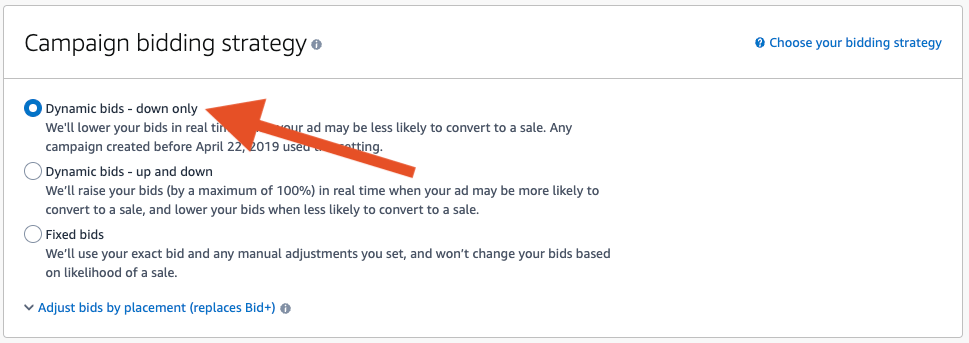 Campaign Bidding Strategy