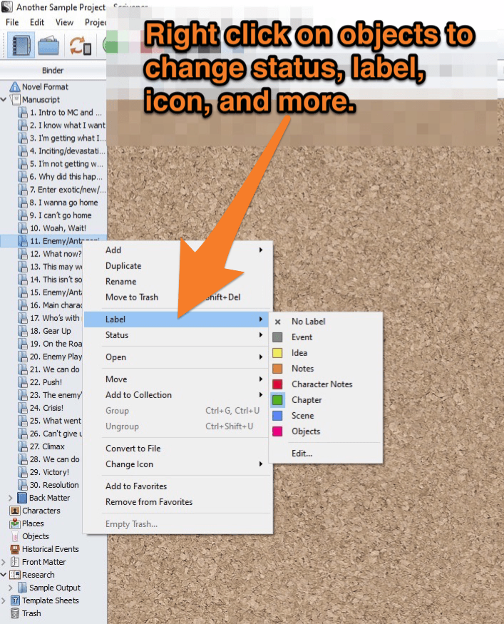 Scrivener screenshot showing where to adjust the labels, icons, and more.